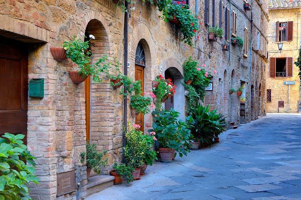 Eggers, Julie 아티스트의 Italy-Tuscany-Pienza Flower pots and potted plants decorate a narrow street in a Tuscany village작품입니다.